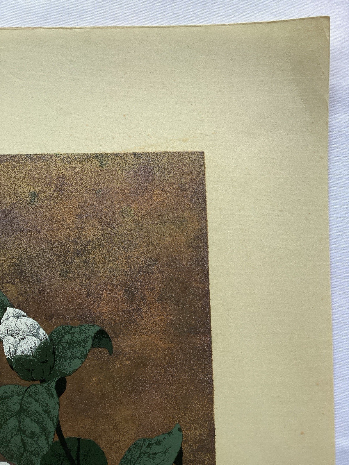 Sugiura Kazutoshi Camellia Silkscreen signed 34/70 No.4 1981
