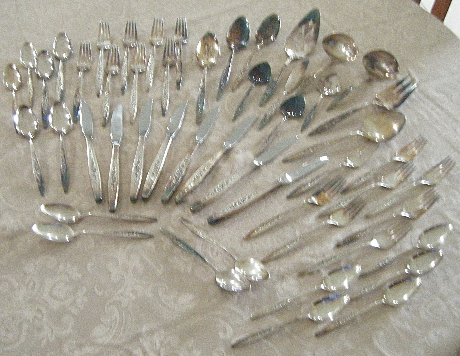 International Deep Silver Laurel Mist Pattern Silverplate Flatware 51 Pieces