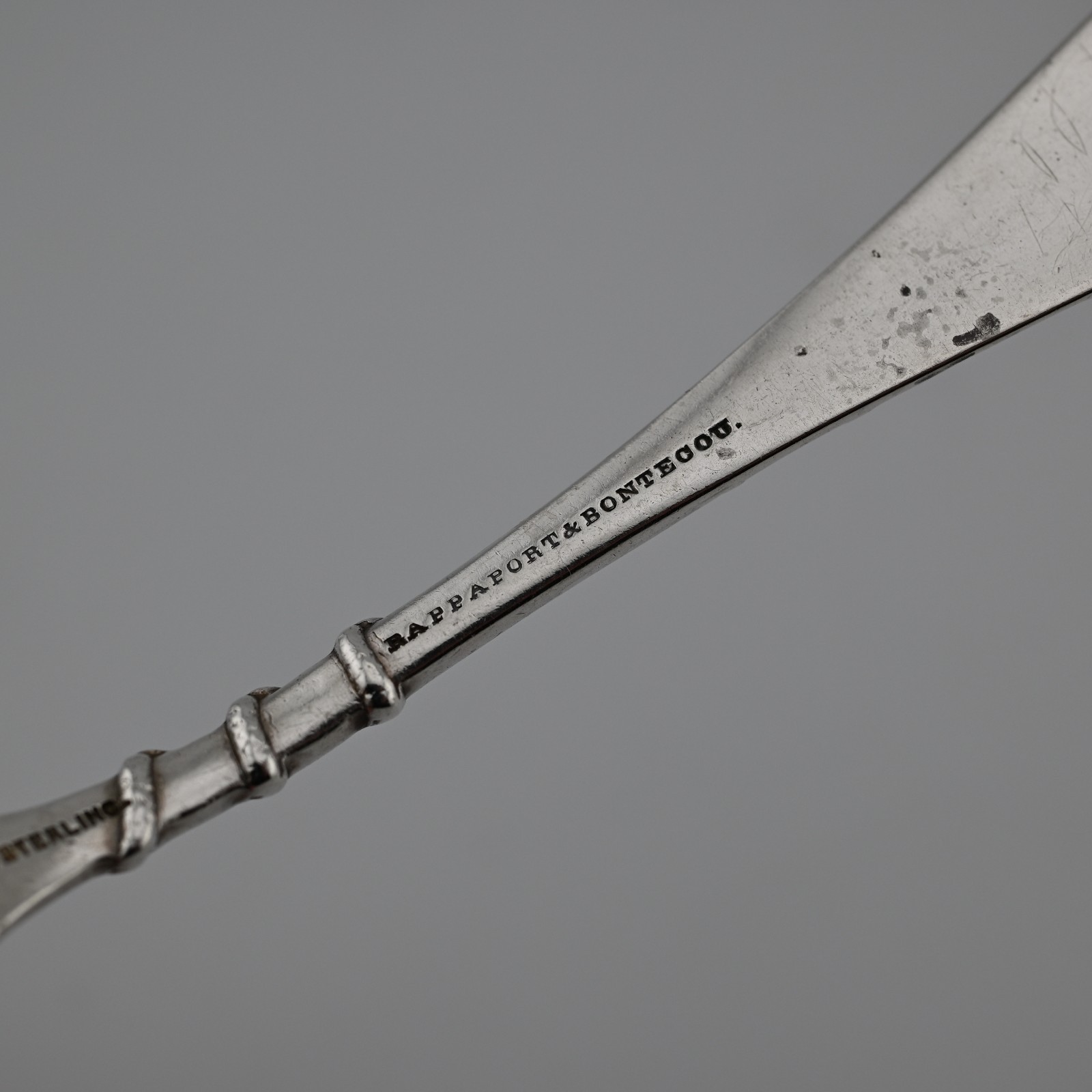 Rare Sterling Silver Durgin Bug 1885 Aesthetic Serving Spoon Insects Snake