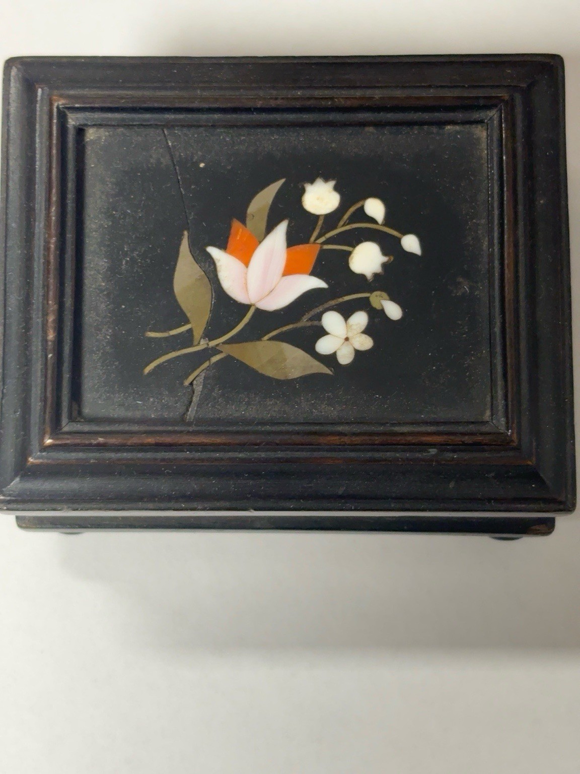 Victorian Inlaid Ebonised Jewellery Trinket Box With Fly & Spider C1880