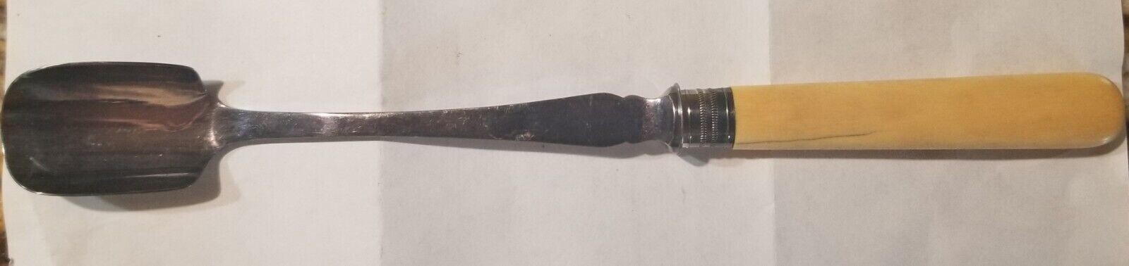 Antique Stilton Scoop, EPNS Cheese Shovel Spoon, Zebu Handle