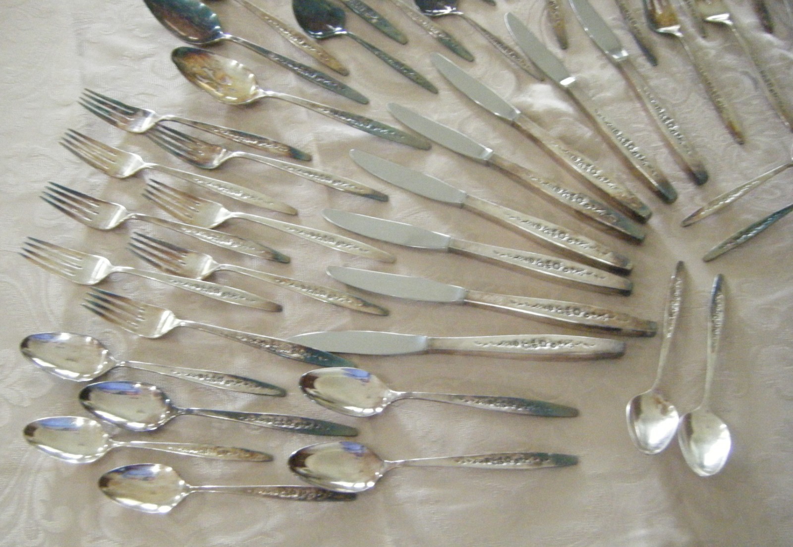 International Deep Silver Laurel Mist Pattern Silverplate Flatware 51 Pieces