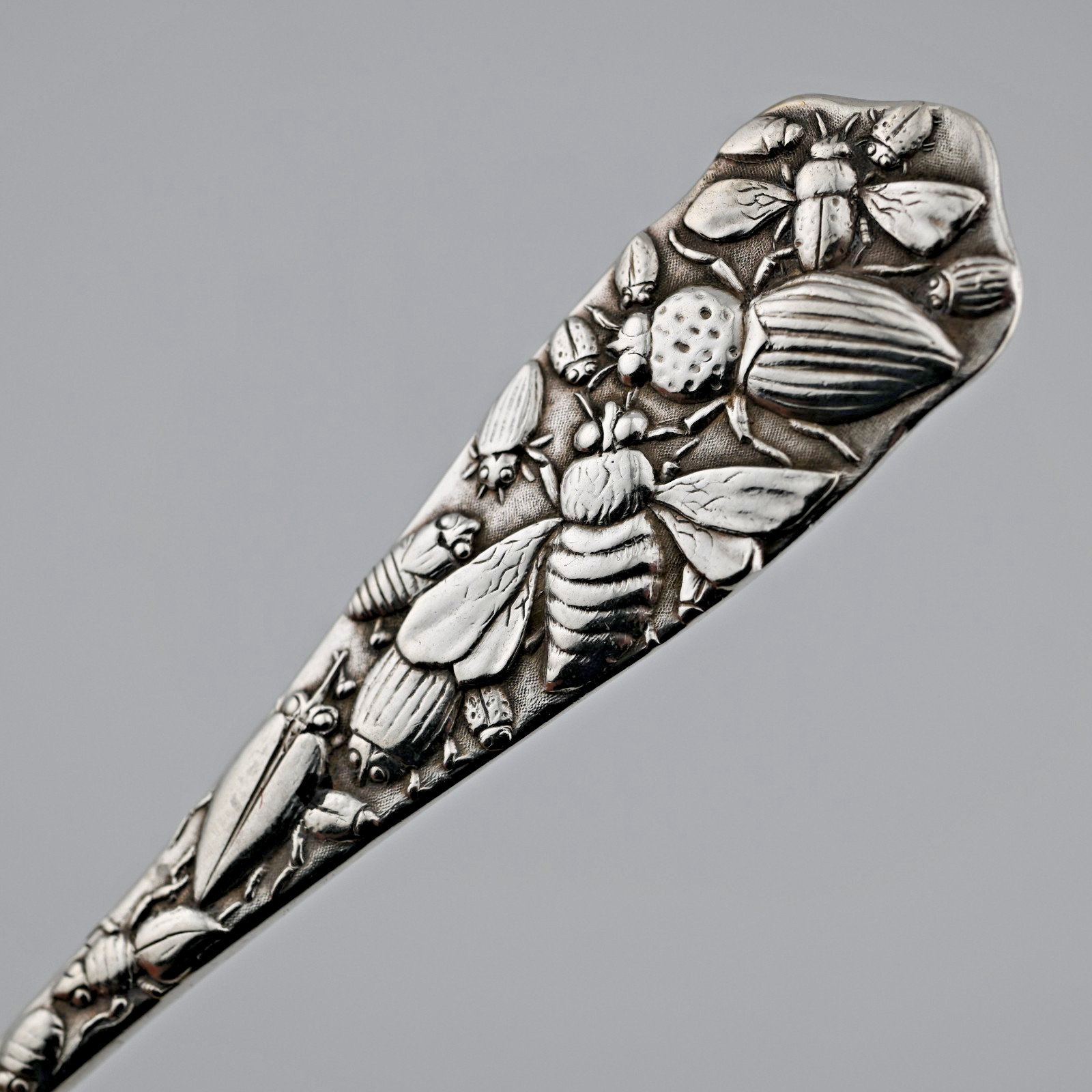 Rare Sterling Silver Durgin Bug 1885 Aesthetic Serving Spoon Insects Snake