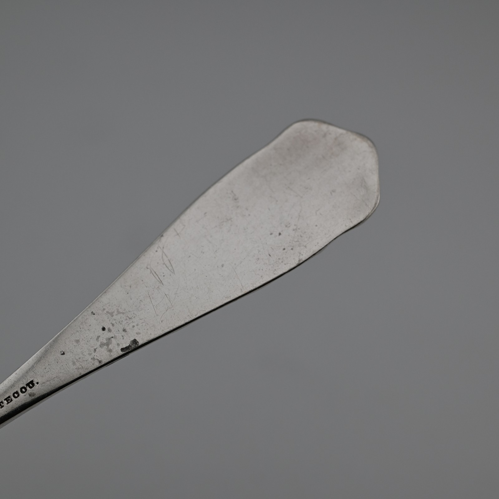 Rare Sterling Silver Durgin Bug 1885 Aesthetic Serving Spoon Insects Snake