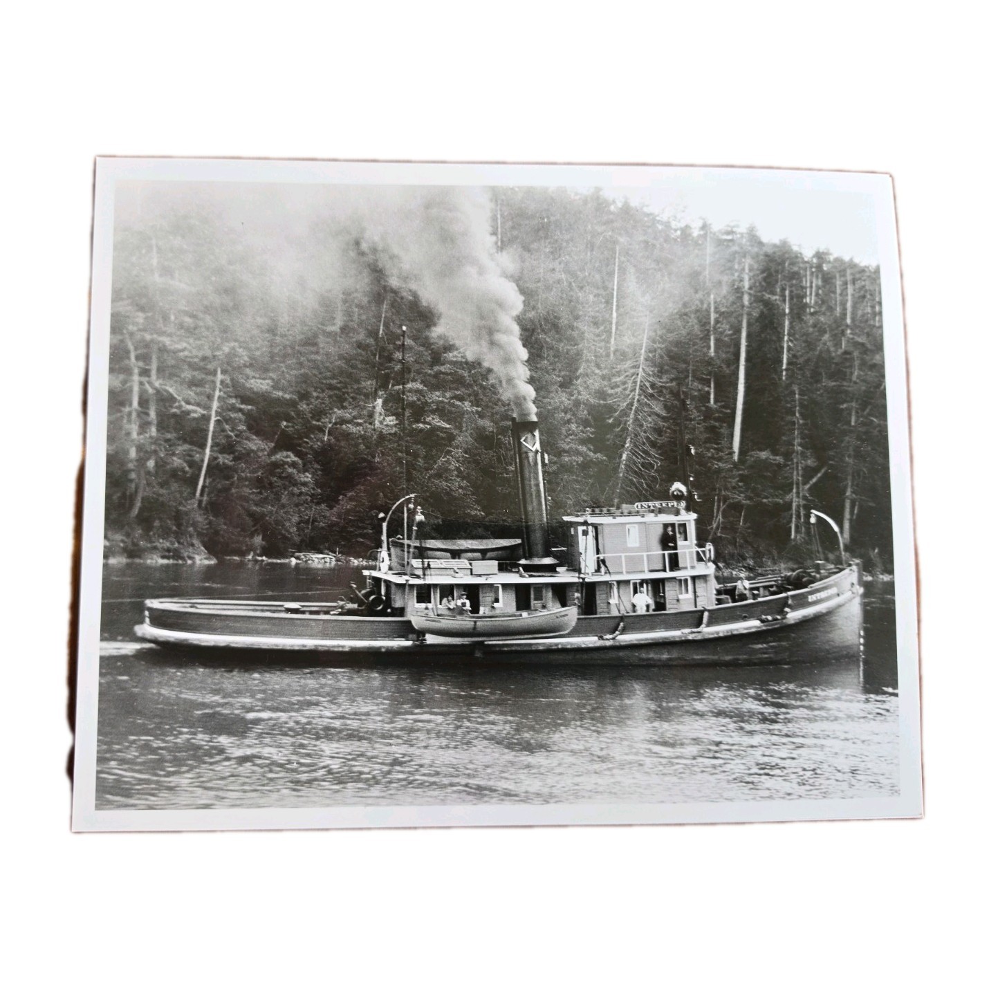Vintage Steam Tug INTREPID 8×10 Photo Puget Sound Archive Uncirculated