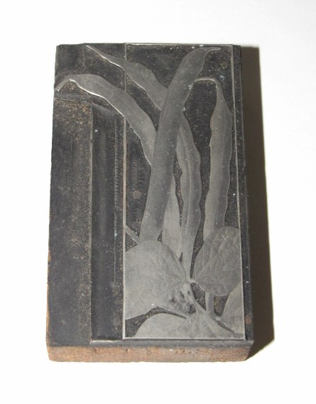 Antique ART DECO LILY Flower LILIES Letterpress Stamp PRINTERS BLOCK