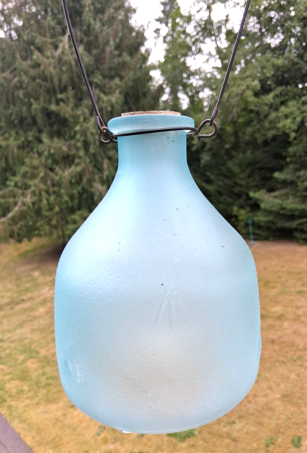 VTG Fly Wasp Trap 7” T Aqua Blue Blown Glass Embossed Flies Hanging Bug Catcher