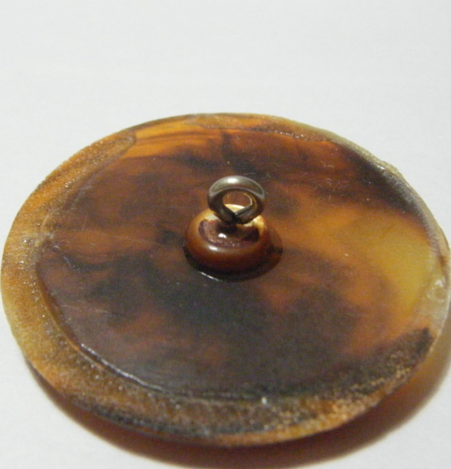 Vtg picture button carved scorpion, tortoise shell, metal shank 1.75″ D