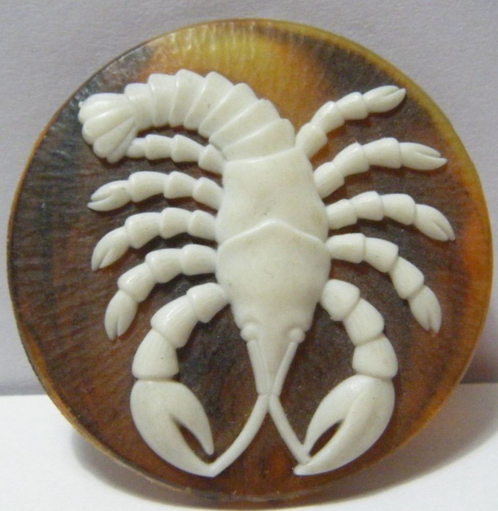 Vtg picture button carved scorpion, tortoise shell, metal shank 1.75″ D