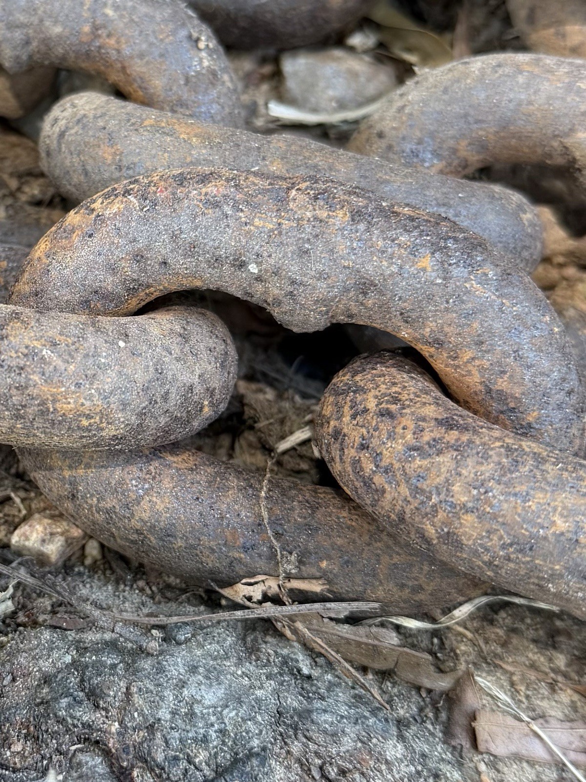 Antique Forged Iron Logging Chain w/ Hook – Heavy Industrial 15’10” Salvage
