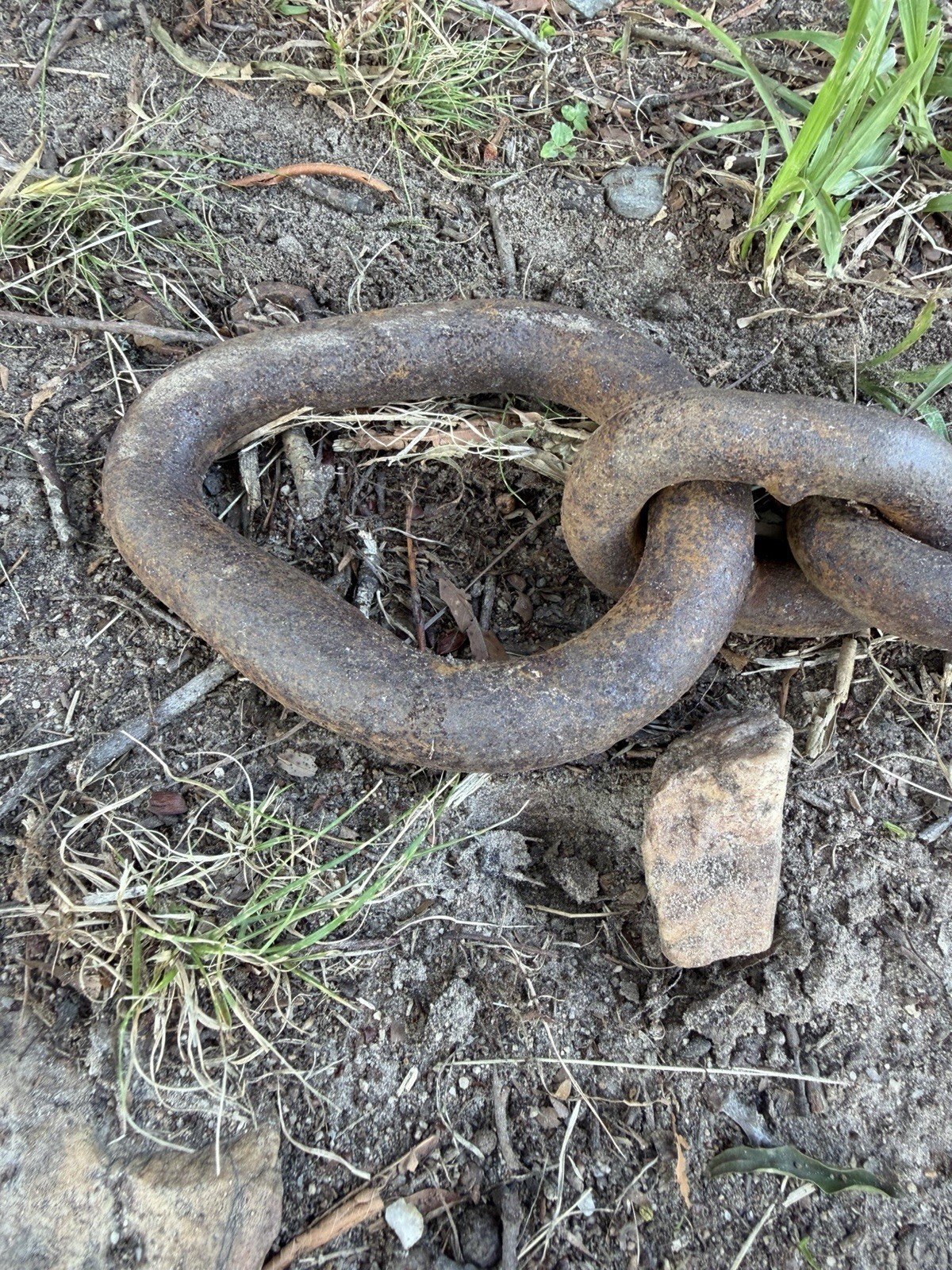 Antique Forged Iron Logging Chain w/ Hook – Heavy Industrial 15’10” Salvage