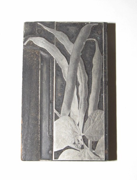 Antique ART DECO LILY Flower LILIES Letterpress Stamp PRINTERS BLOCK