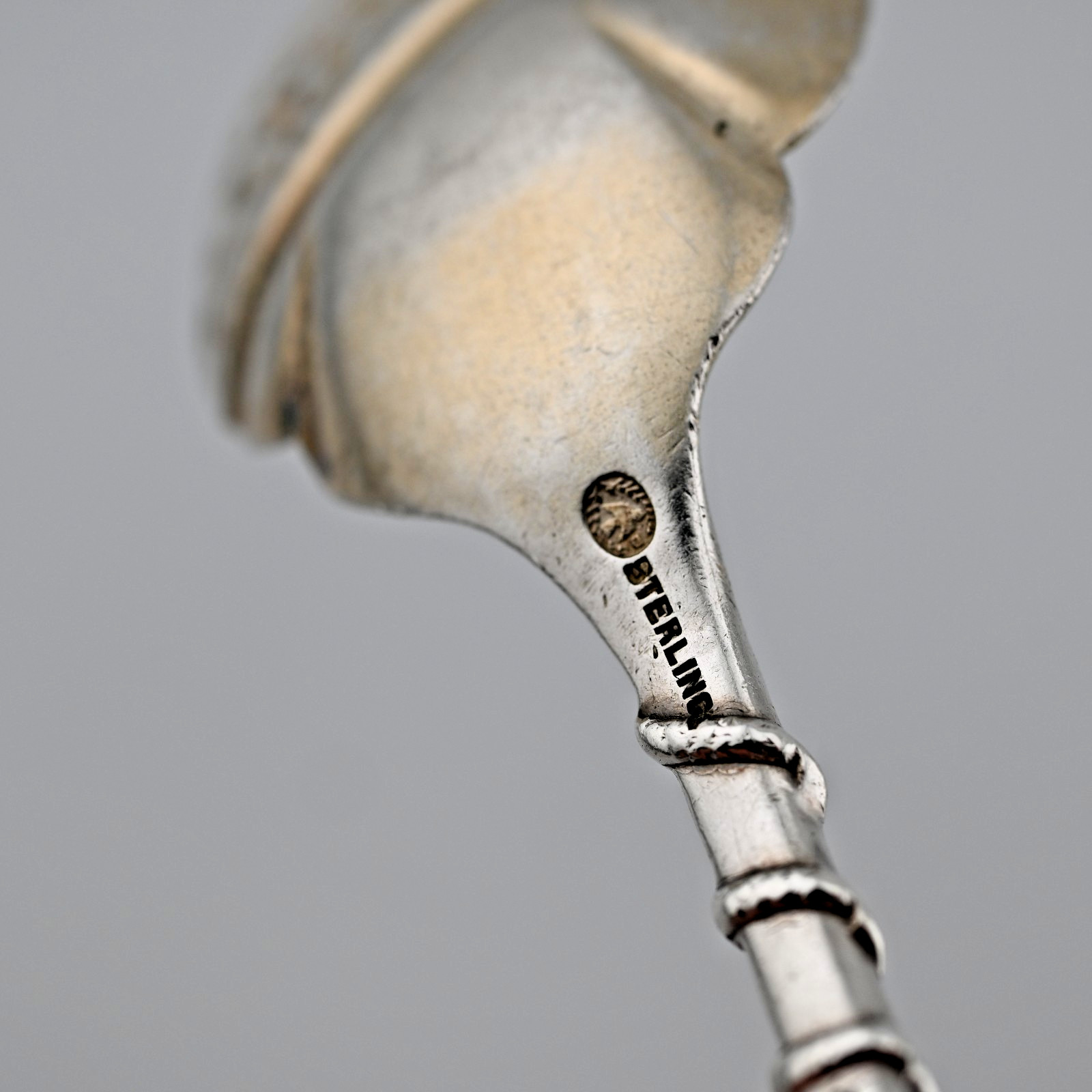 Rare Sterling Silver Durgin Bug 1885 Aesthetic Serving Spoon Insects Snake