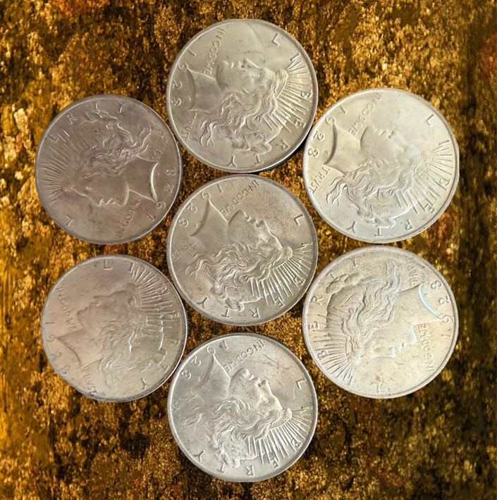 Late Date 1921 to 1935 Peaceful Dolar Culls Random Mix of Dates Lot of 5