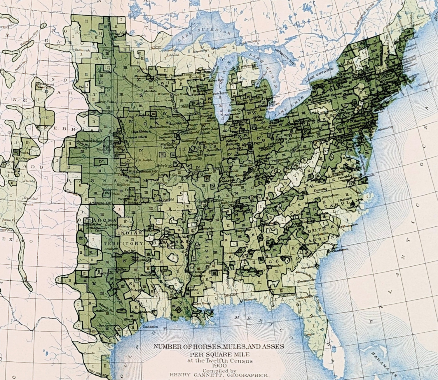 1900 Map UNITED STATES – HORSES MULES ASSES ORIGINAL (13×8.25) Antique