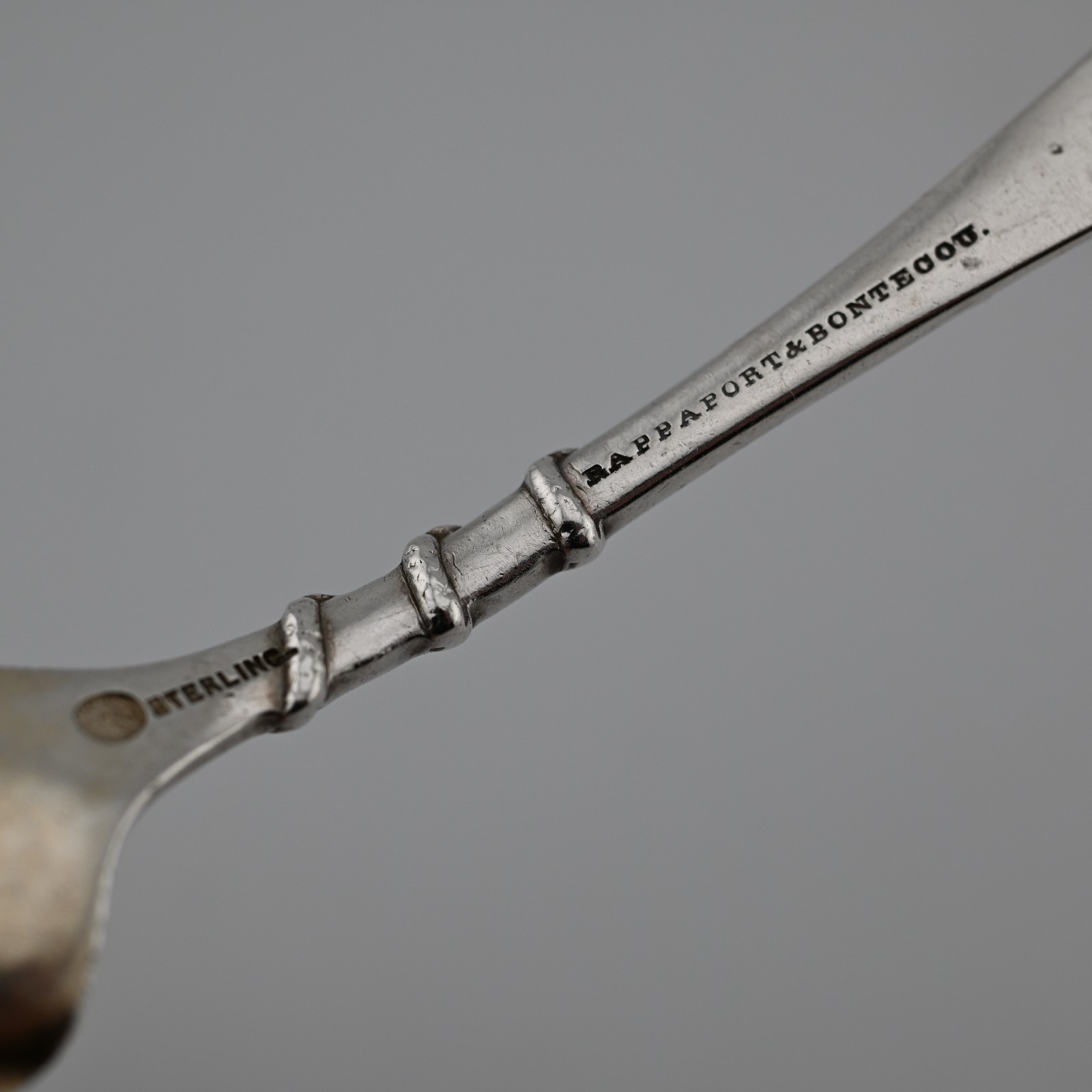 Rare Sterling Silver Durgin Bug 1885 Aesthetic Serving Spoon Insects Snake