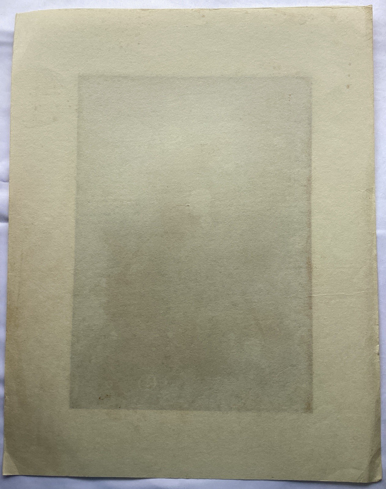 Sugiura Kazutoshi Camellia Silkscreen signed 34/70 No.4 1981