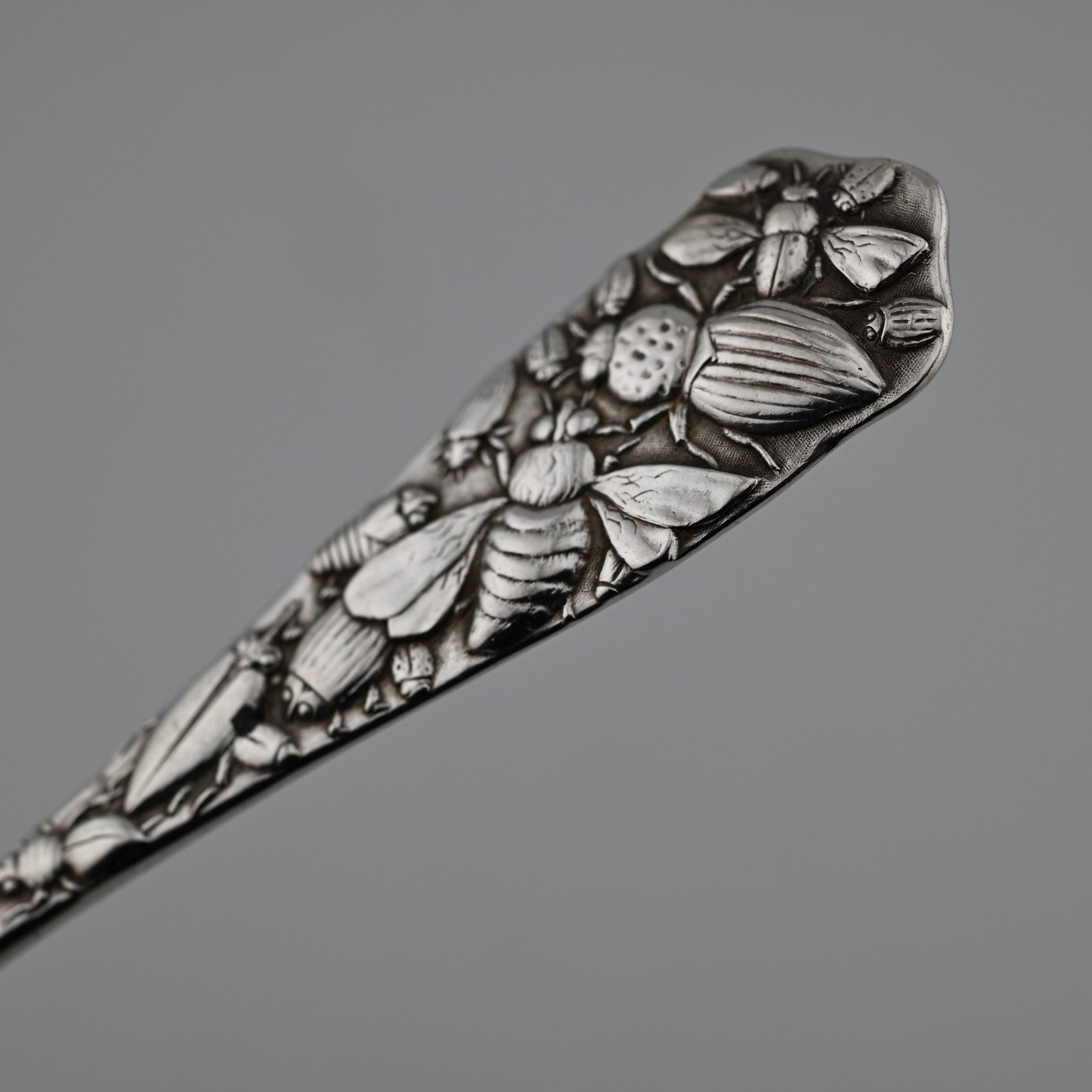 Rare Sterling Silver Durgin Bug 1885 Aesthetic Serving Spoon Insects Snake